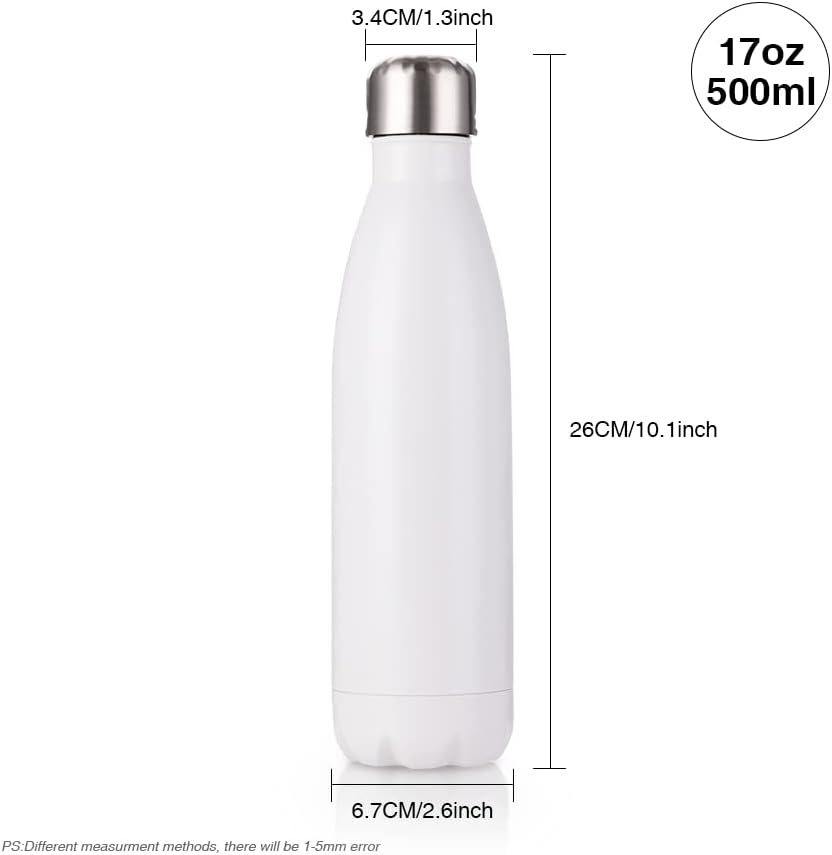 17oz Triple-Insulated Stainless-Steel Water Bottle